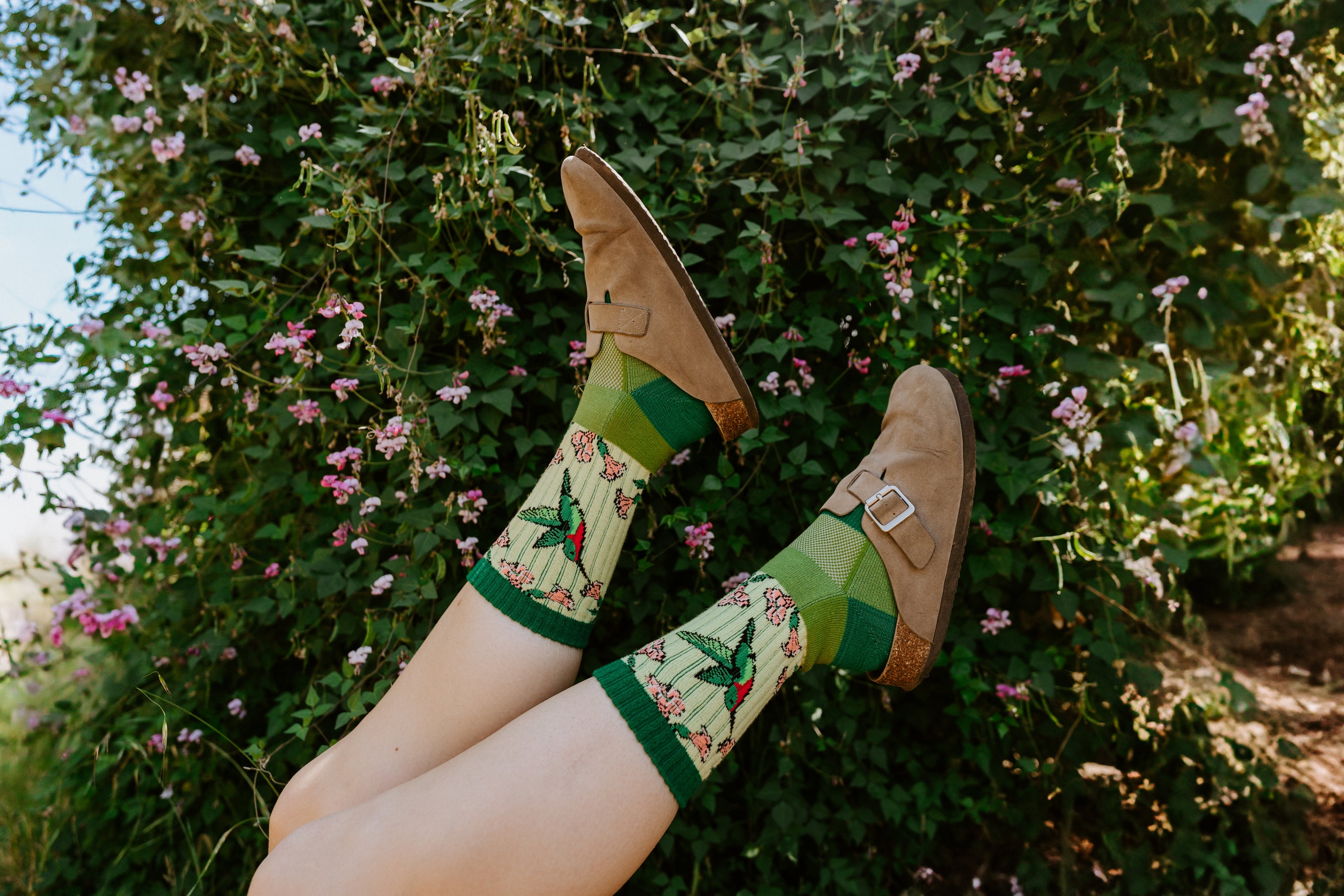 A person's legs are raised in front of a leafy green garden with pink flowers, wearing hummingbird Merino wool socks.