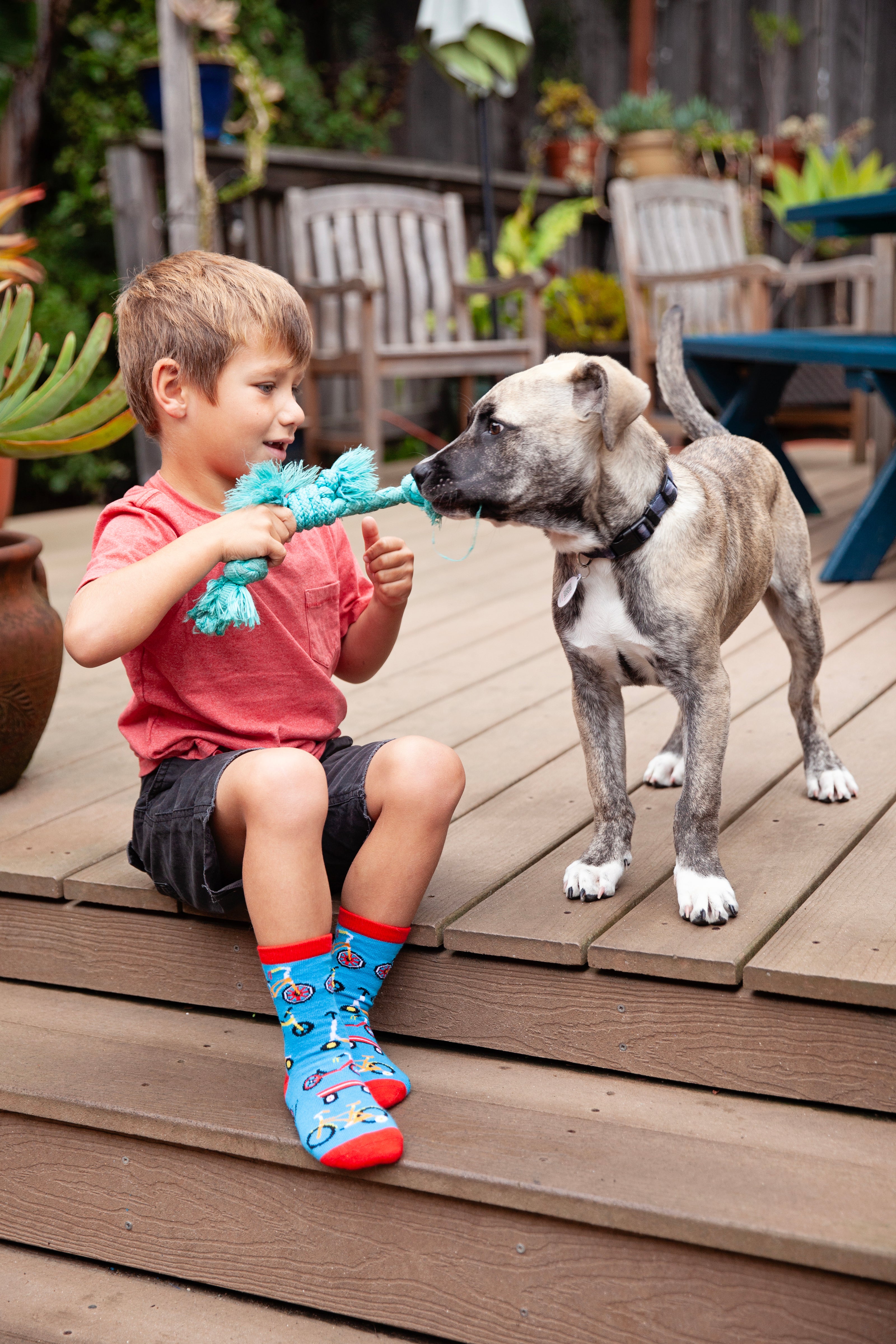 "child playing with pet dog on deck" "child wearing wheelie fun kids socks"
